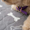 PawDry™