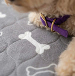 PawDry™