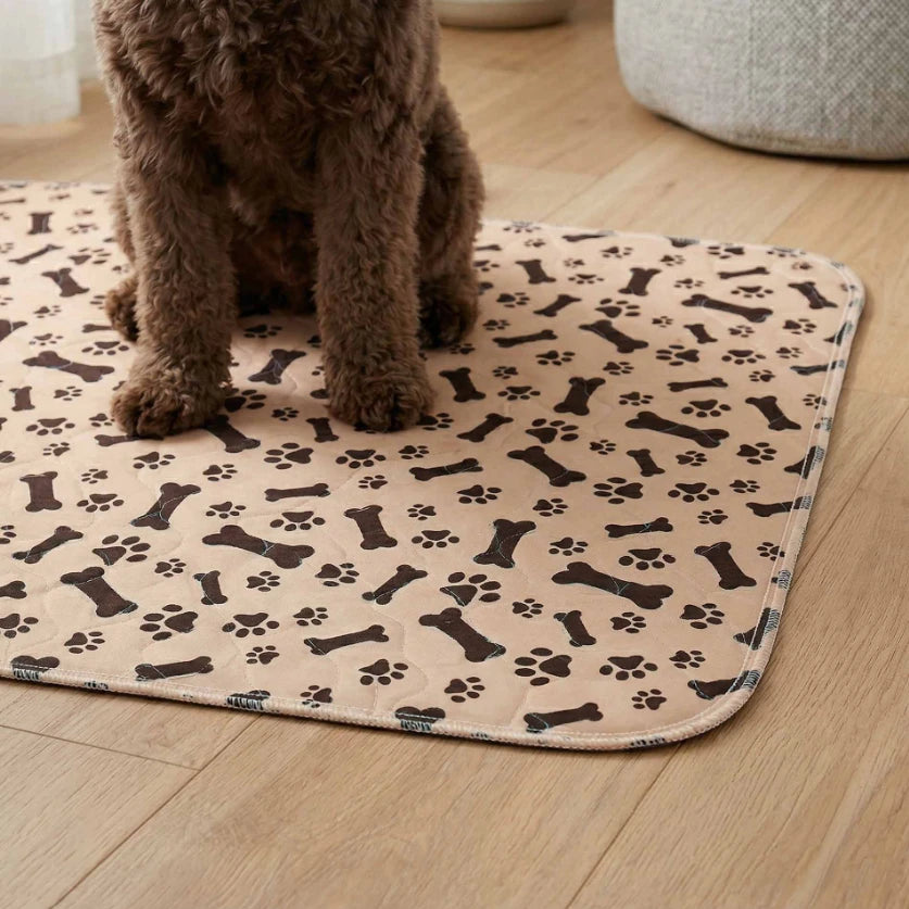PawDry™