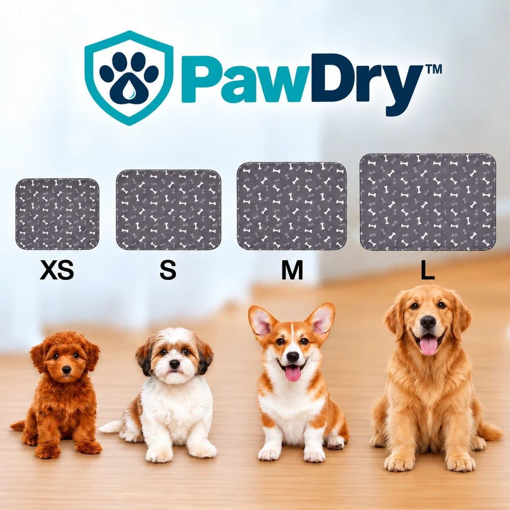 PawDry™